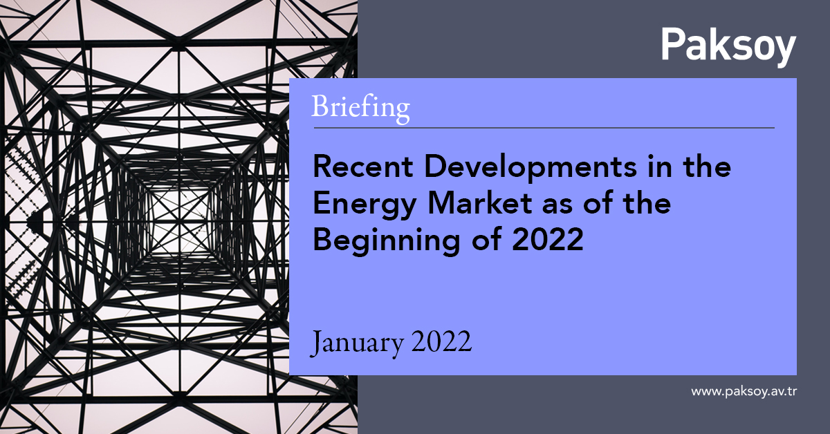 Recent Developments in the Energy Market as of the Beginning of 2022 ...